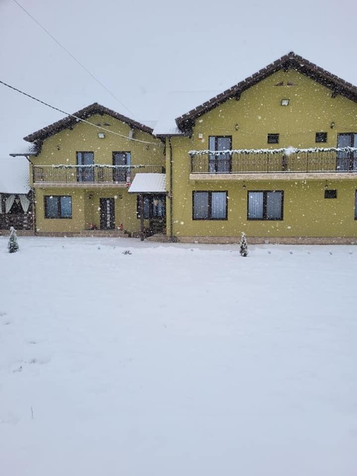 Villa Casa Sofia Avrig Exterior foto